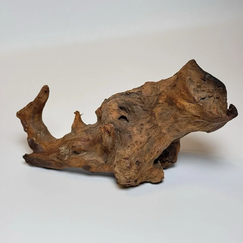 Natural Driftwood Root Sculpture Aquarium Aquascape Terrarium Wood 9.5